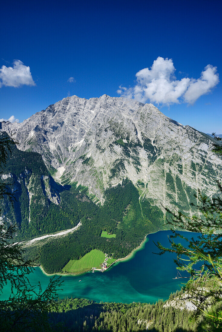 View over lake Koenigssee to Watzmann massif, Gotzenalm, Berchtesgaden National Park, Berchtesgaden Alps, Upper Bavaria, Bavaria, Germany