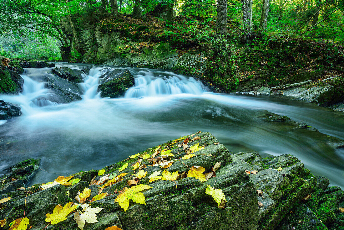 River Selke Fall, Selke Valley, Harz Mountains, Saxony-Anhalt, Germany