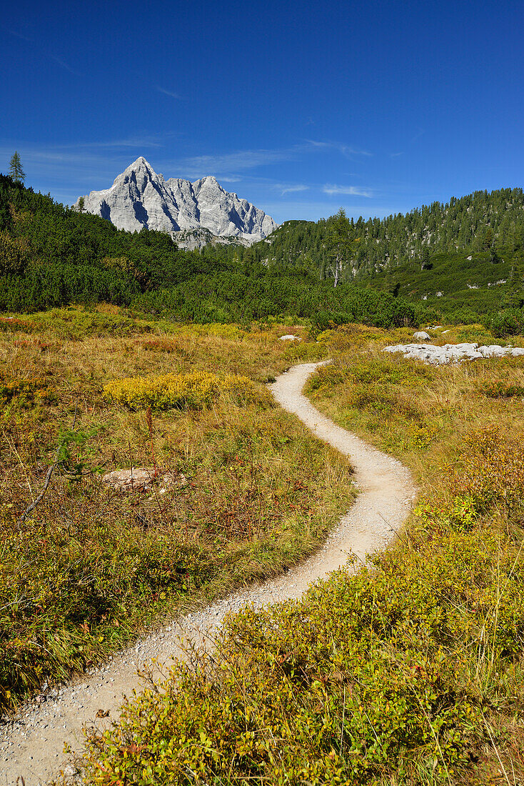 Weg schlängelt sich über eine Hochebene, Watzmann im Hintergrund, Nationalpark Berchtesgaden, Berchtesgadener Alpen, Oberbayern, Bayern, Deutschland