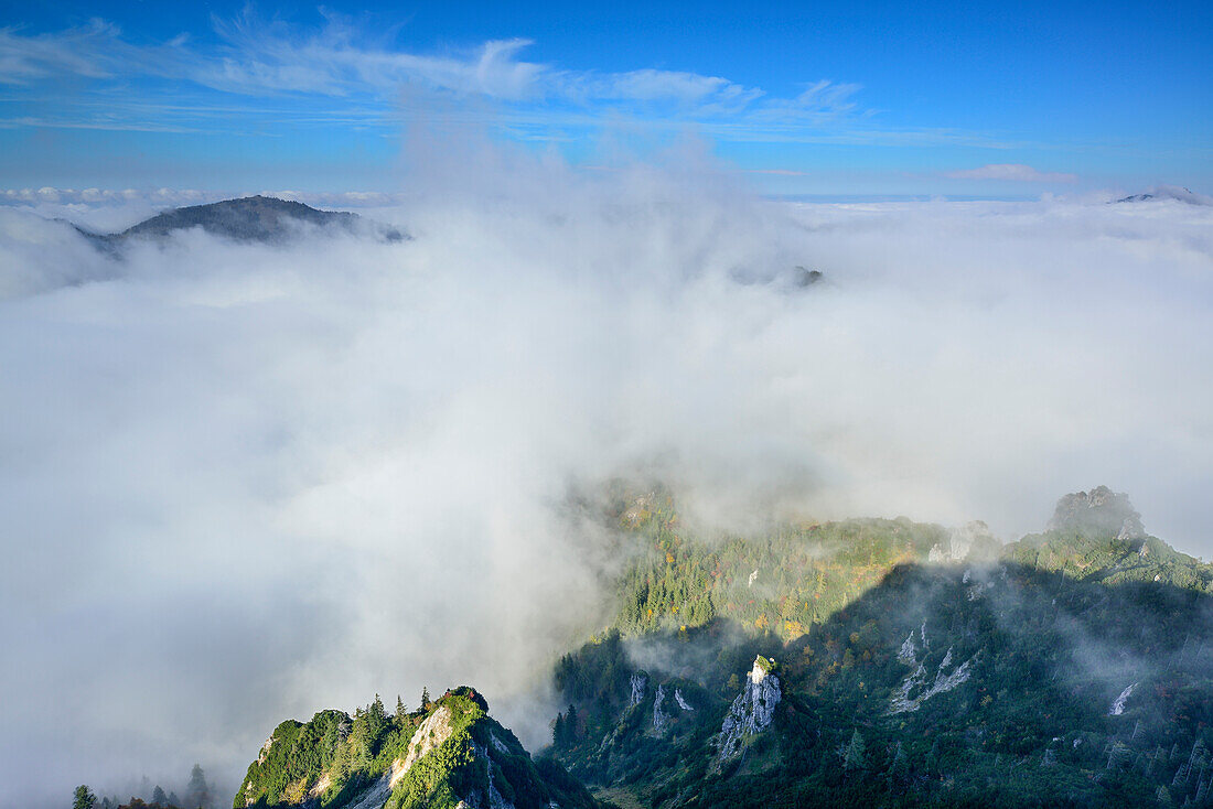 Fog at Spitzstein, Chiemgau Alps, Upper Bavaria, Bavaria, Germany