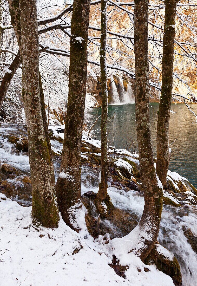 Plitvice lakes National Park, Lika region, Croacia, Europe.