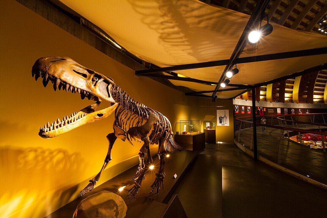 Jurassic Museum of Asturias, Colunga Council, Asturias, Spain, Europe.