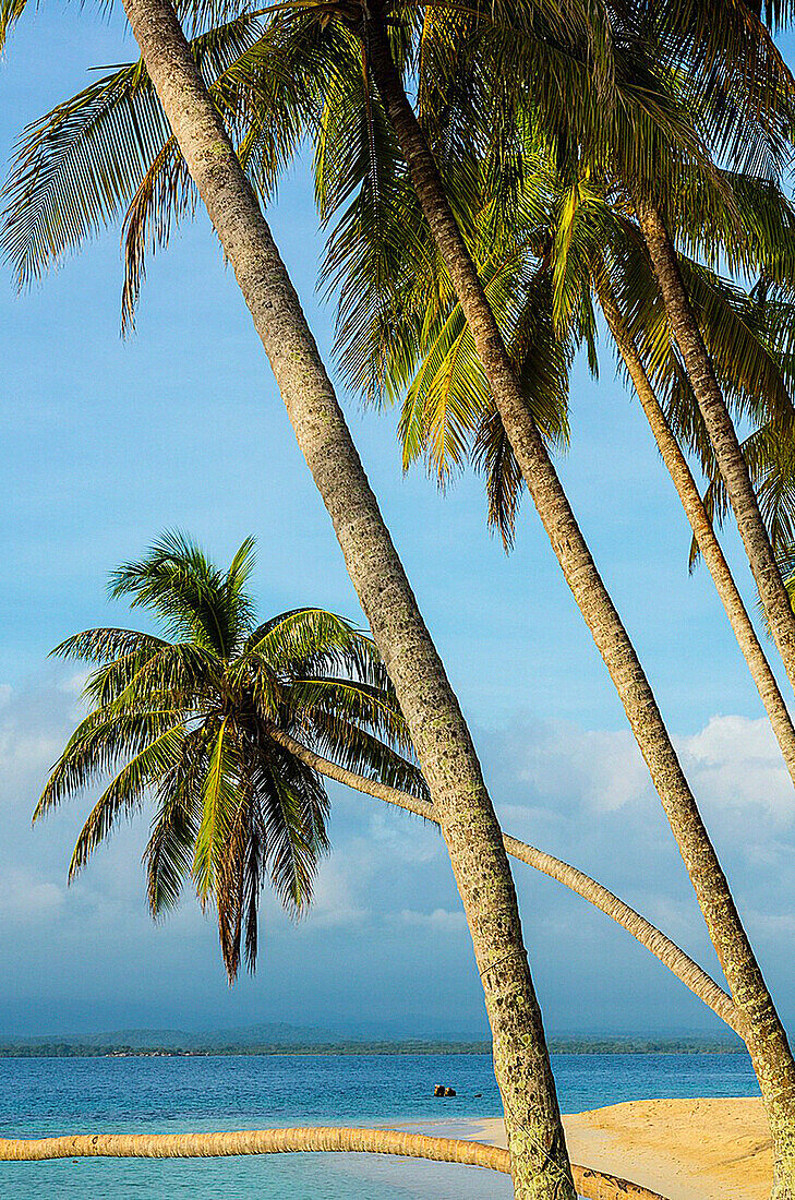 Aguja Island, San Blas archipelago, Kuna Yala Region, Panama, Central America, America