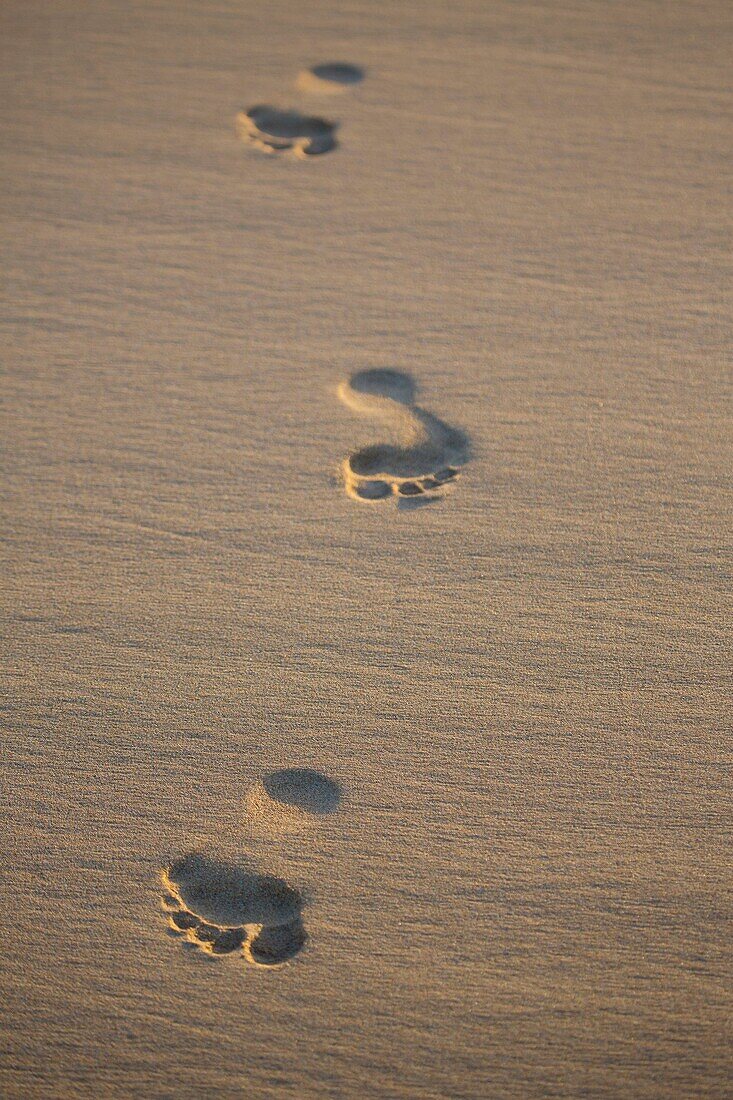 Footprints in the sand at sunset