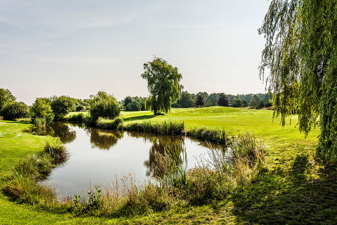 Golf course Green Eagle, Radbruch, Winsen Luhe, Niedersachsen, north Germany, Germany