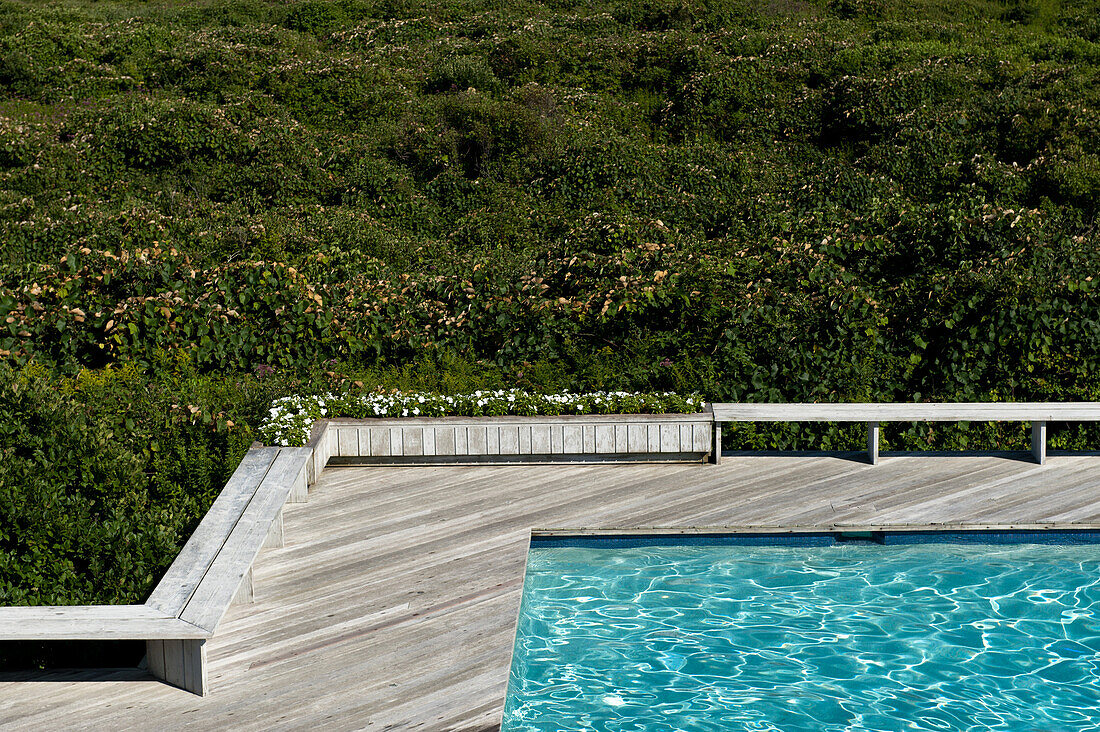 Swimming Pool With Green Shrubs in Background