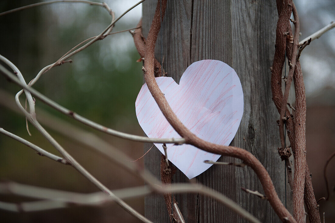 Paper Heart on Wood Post Amongst Vines