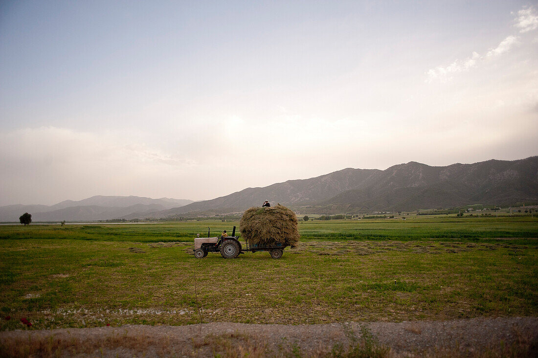 Farmers on Tractor Pulling Large Pile of Grains, Iran