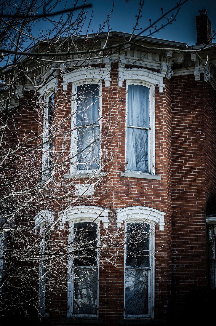 Spooky House and Tree Branches