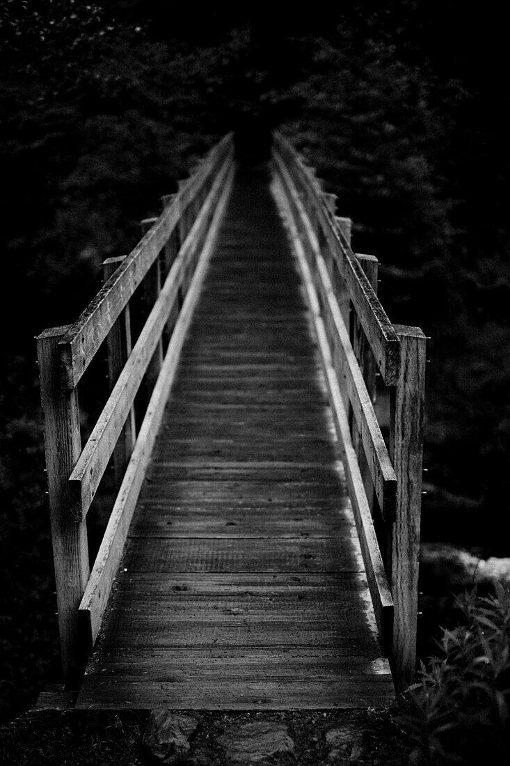 Wood Footbridge in Forest