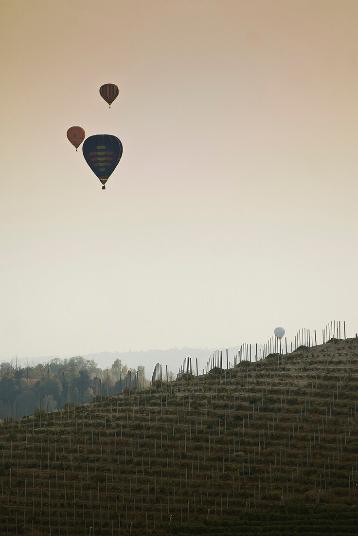Three Hot Air Balloons Flying Over Vineyard, Italy