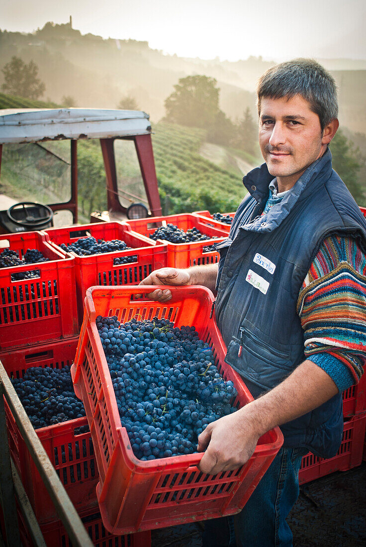 Man Holding Crate of Grapes