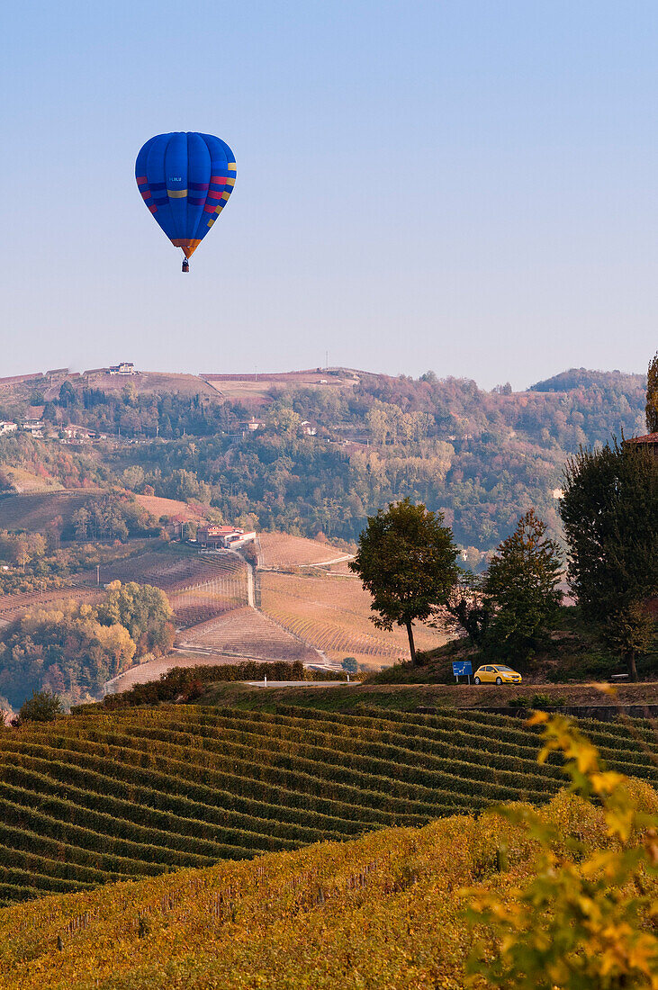 Hot Air Balloon Flying Over Vineyard, Italy