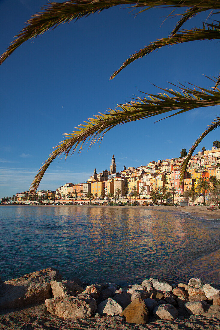 Colourful Houses Of The Old Town And Palm Trees In Front Of The Sablettes Beach, Saint-Michel Archange Basilica, Menton, Alpes-Maritimes (06), France