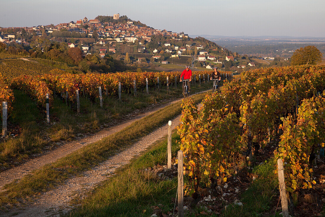 Cycling Through The Vineyards In Front Of The Village Of Sancerre, The 'Loire A Velo' Cycling Itinerary, Cher (18), France