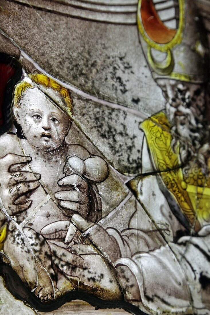 Detail Of The Circumcision Of The Child, Stained-Glass Windows From The Renaissance, International Stained-Glass Center, (Civ), Chartres, Eure-Et-Loir (28), France