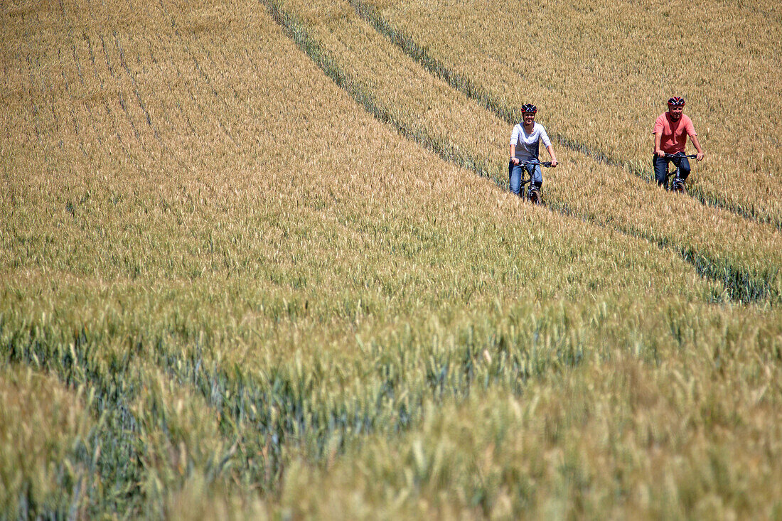 Bicycle Tourists Cycling Through A Wheat Field In The Perche, Eure-Et-Loir (28), France