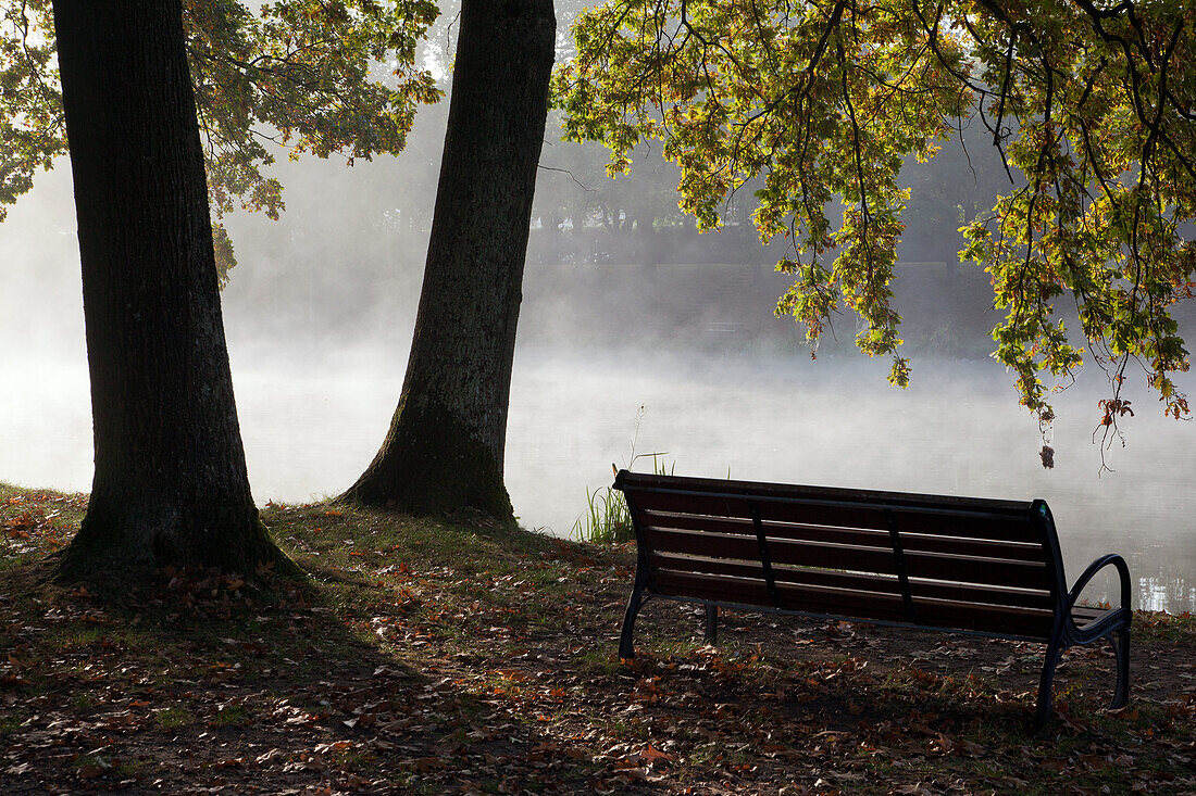 Bench And Park In The Morning Mist Over The Lakes Of The Chateau Of Sully-Sur-Loire, Loiret (45), France