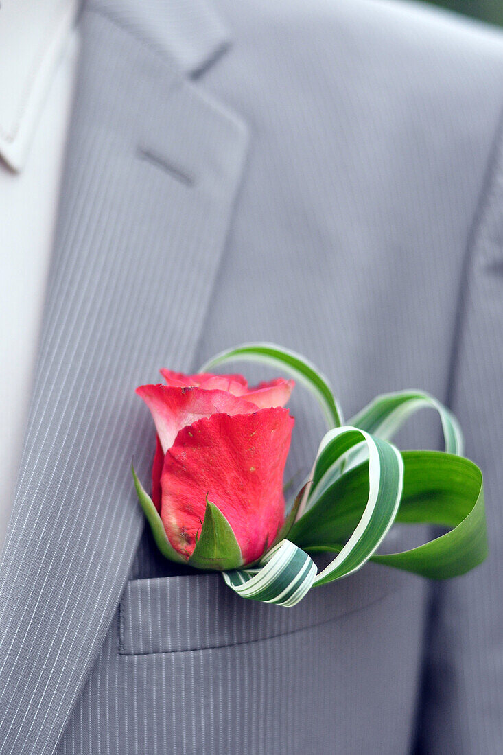 Rose Adorning A Suit'S Breast Pocket, Decoration For A Wedding, France