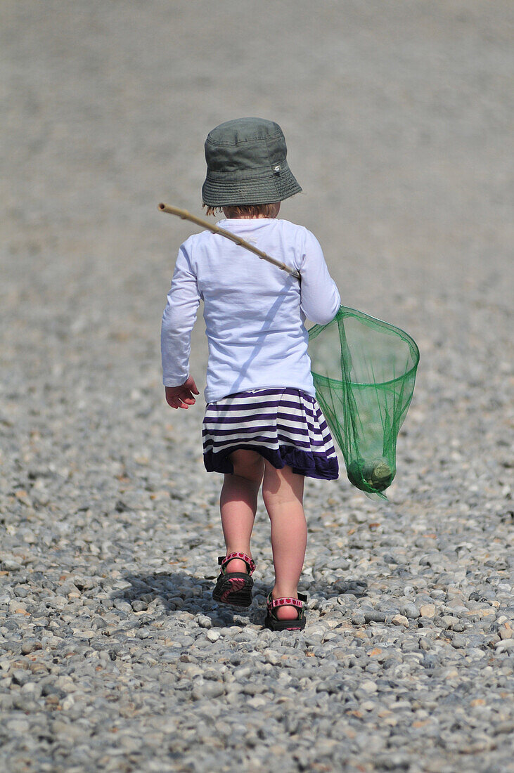 Little Girl With Her Net Walking On A Shingle Beach, Somme (80), France