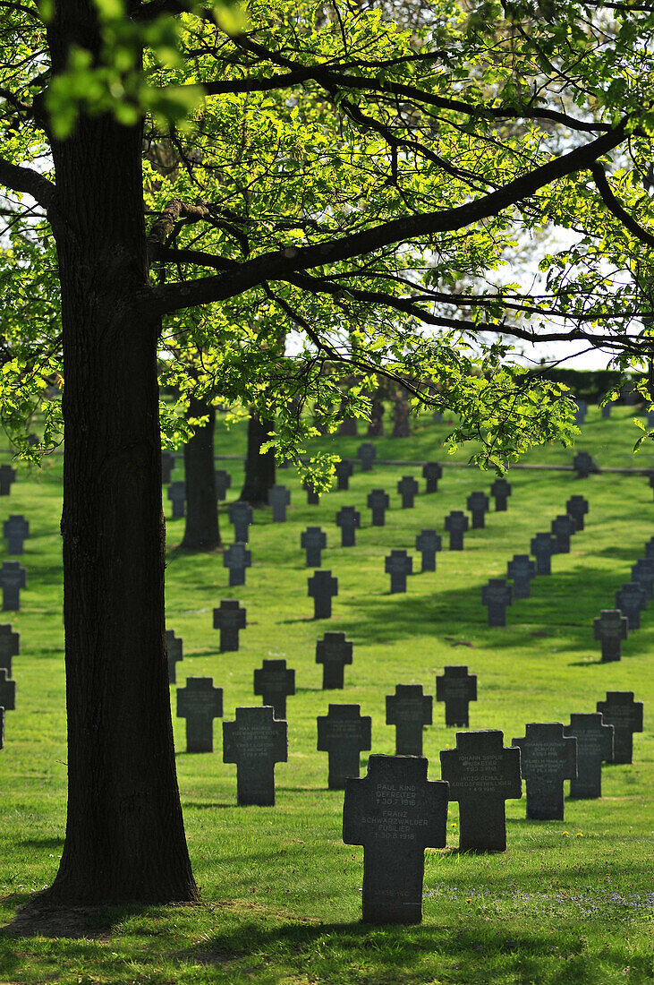 German Cemetery For German Soldiers Killed During The First World War, Vermandovilliers, Somme (80), France