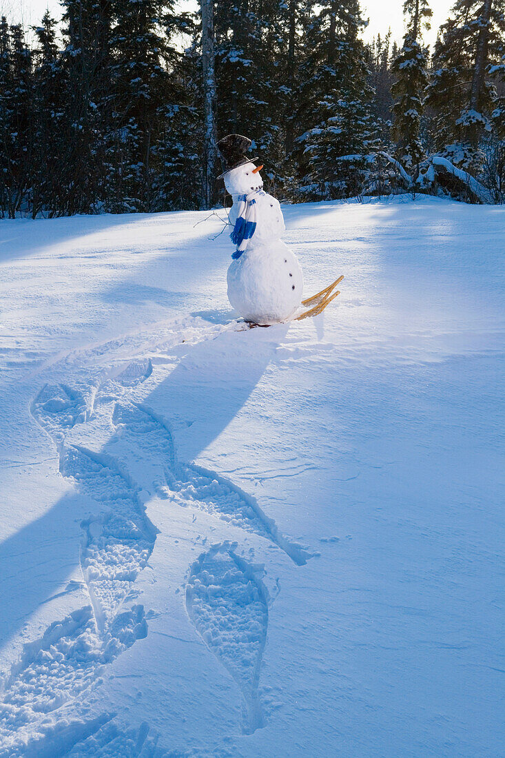 Snowman Walking W/Snowshoes Leaving Tracks In Snow Drift Late Afternoon Alaska Winter