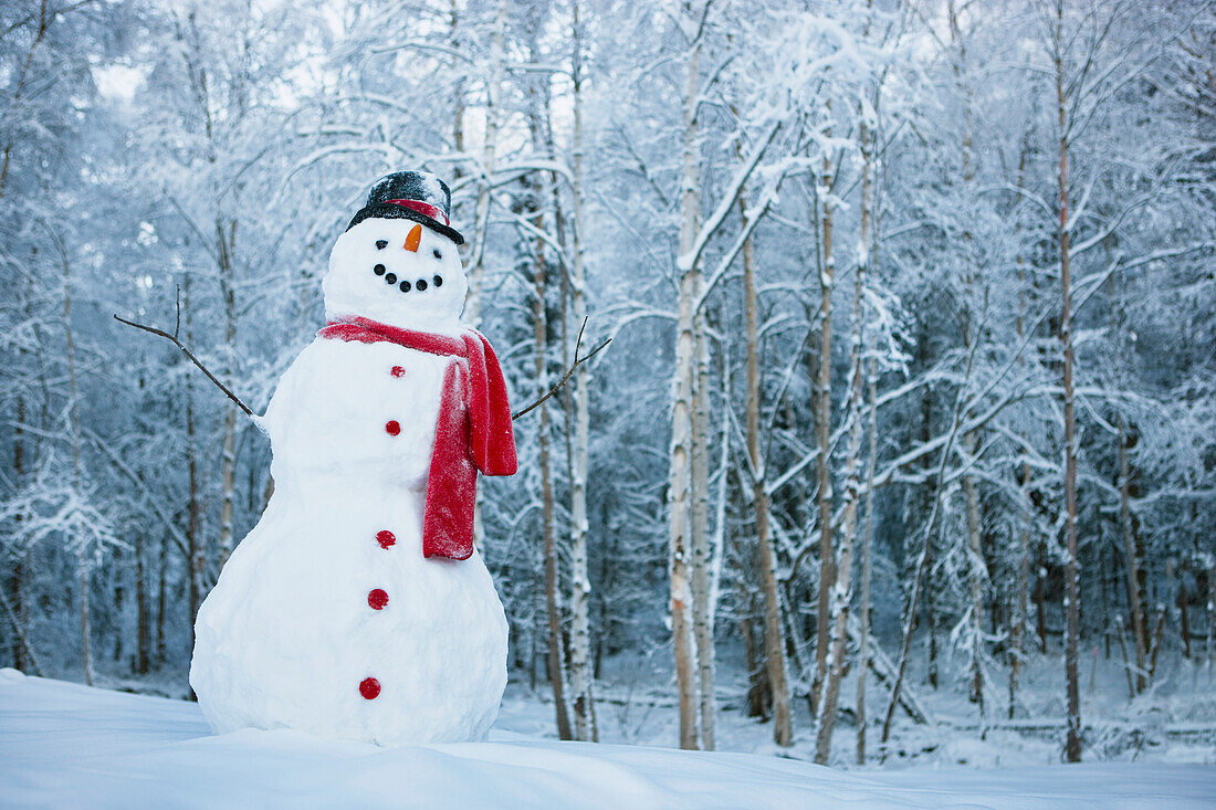 Snowman With Red Scarf And Black Top Hat Standing In Front Of Snow Covered Birch Forest, Winter, Eagle River, Alaska, Usa.