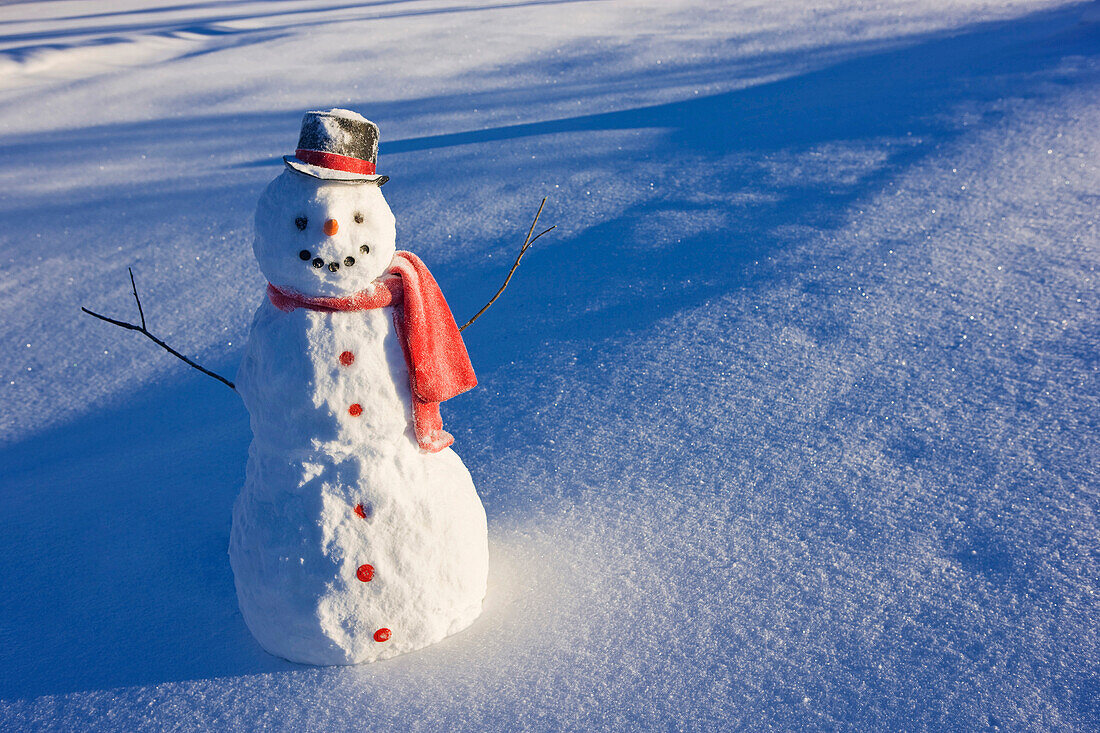 Snowman With Red Scarf And Black Top Hat Standing In Front Of Snow Covered Meadow, Winter