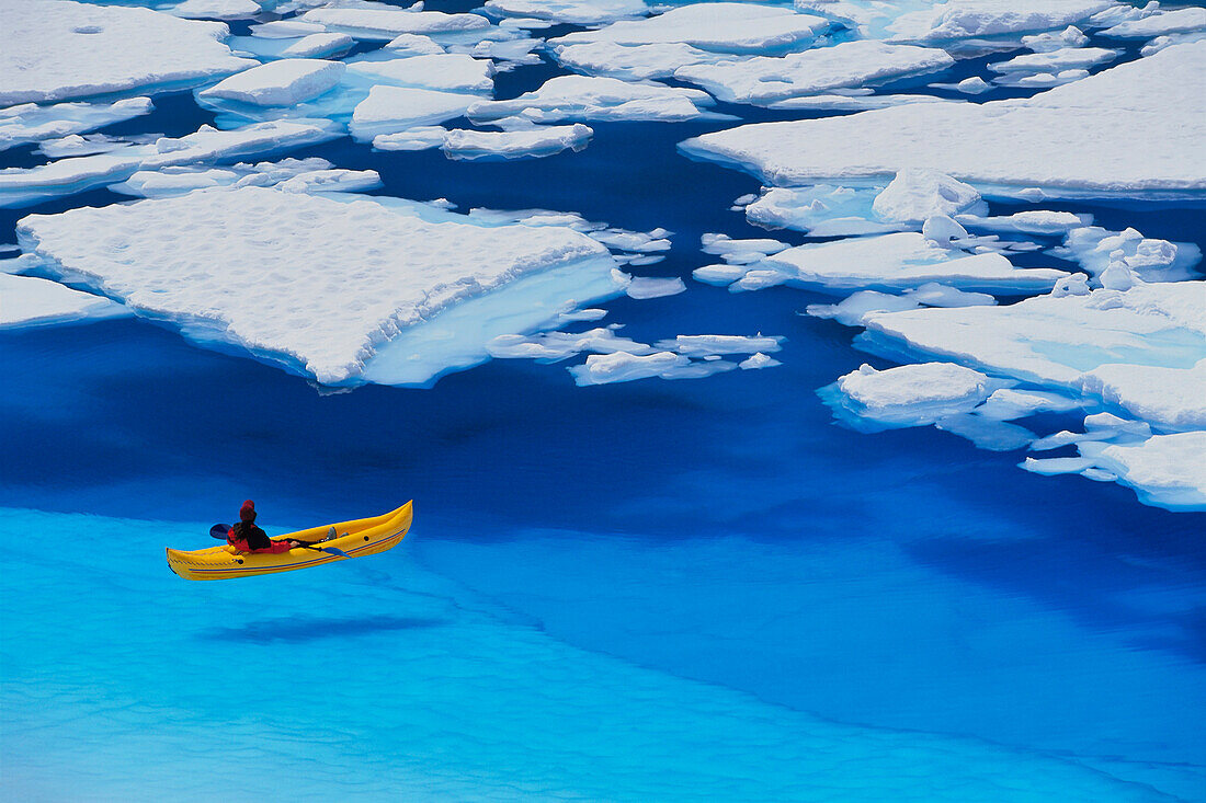 Female Kayaker Navigates Through A Melt Pond In The Juneau /Nicefield, Coast Mountains, Tongass National Forest, Southeast Alaska, Summer