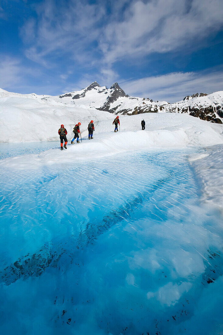 Hikers Trekking In Ice Gear Atop Mendenhall Glacier Juneau Tongass National Forest Se Alaska Summer