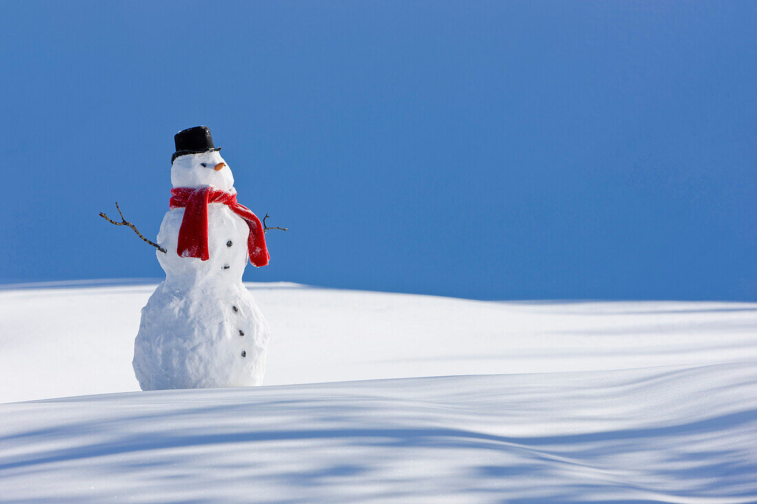 Snowman With A Red Scarf And Black Top Hat Sitting Next To A Snow Covered River Bed, Southcentral Alaska, Winter