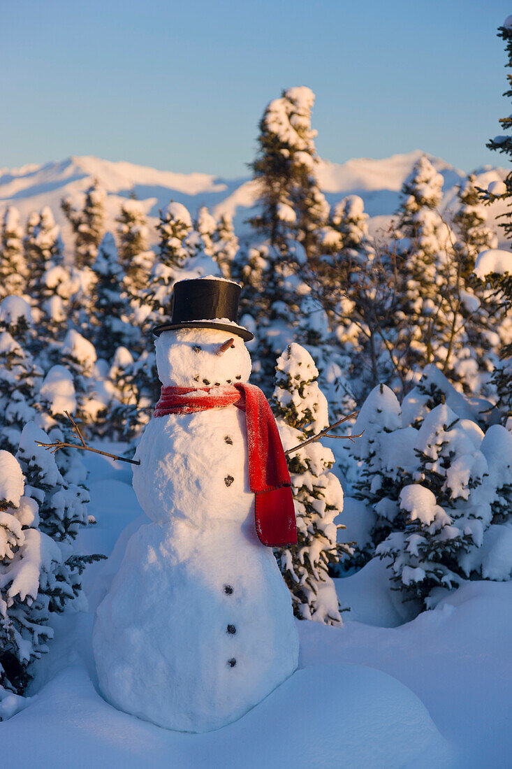 'Snowman wearing a scarf and black top hats standing in front of a snowcovered spruce forest;Anchorage alaska usa'