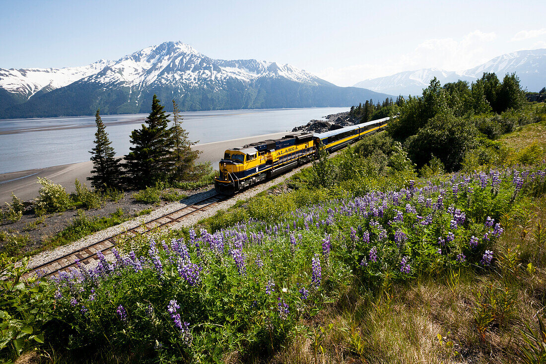 View of the Alaska Railroad passenger train passing Bird Point and Turnagain Arm, Southcentral Alaska, Summer