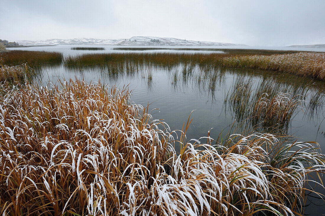 'Winter over elkwater lake in cypress hills provincial park;Alberta canada'