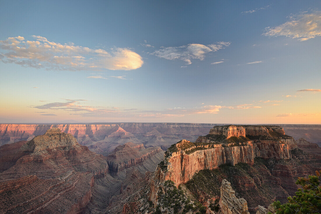 'North Rim Of The Grand Canyon;Arizona Usa'