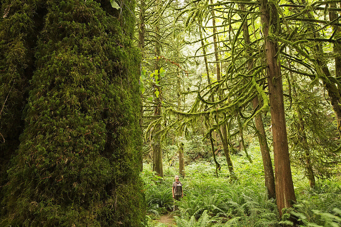 'Woman Standing In The Forest Near Grouse Mountain;North Vancouver British Columbia Canada'