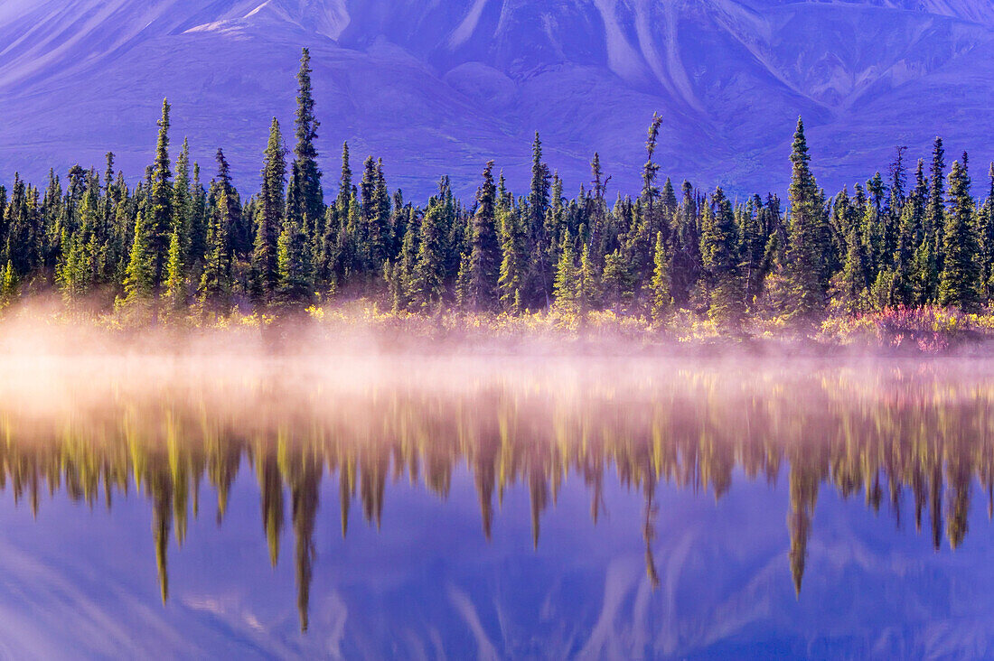 Forest reflects in Drashner Lake w/mist along shoreline AK Range in background Southcentral Alaska Autumn