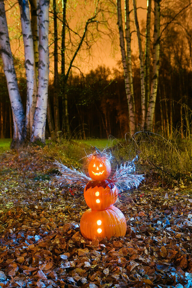 One Jack-O-Lantern person dressed as an angel, standing in a forest & fallen leaves on the ground at twilight during Fall in Anchorage, Alaska.