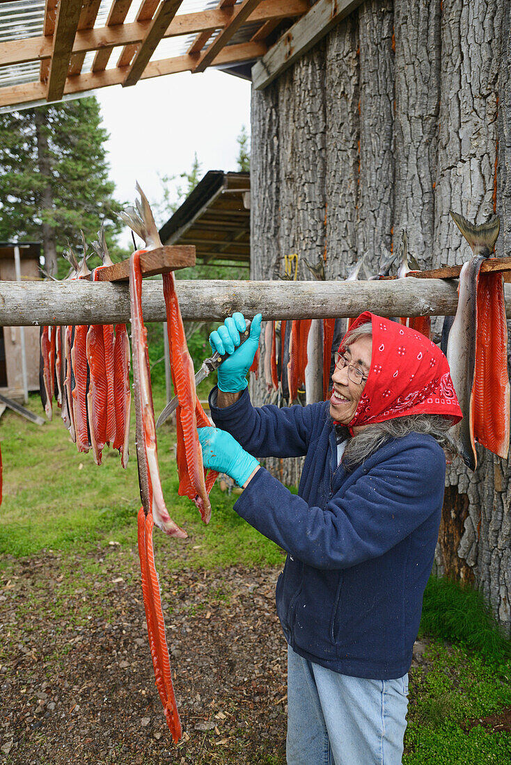 'A Woman Cuts Up Dried Red Sockeye Salmon (Oncorhynchus Nerka) Into Strips At A Fish Camp On Six Mile Lake Near Nondalton;Alaska United States Of America'