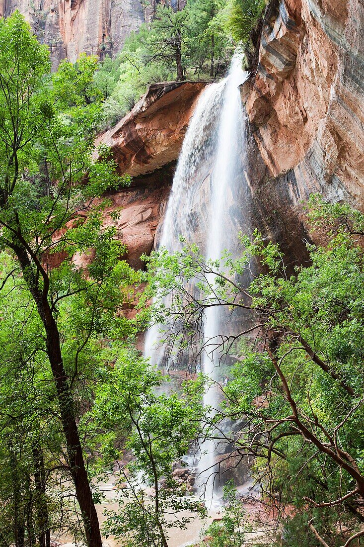 Lower Emerald Pool, Zion NP, Utah