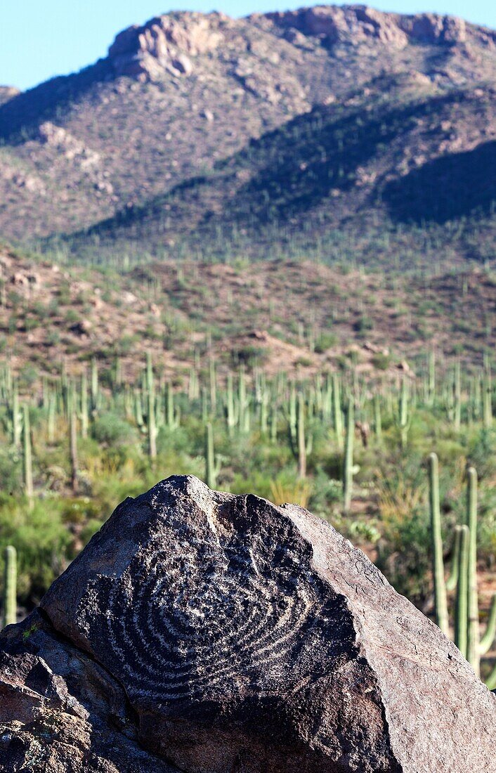 Rock Art in Saguaro N P, Arizona, USA