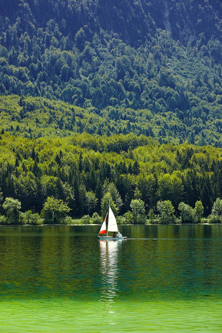 Sailboat into the Bohinj lake, in Bohinj, Triglav National Park, Gorica region, Slovenia, Balkans States