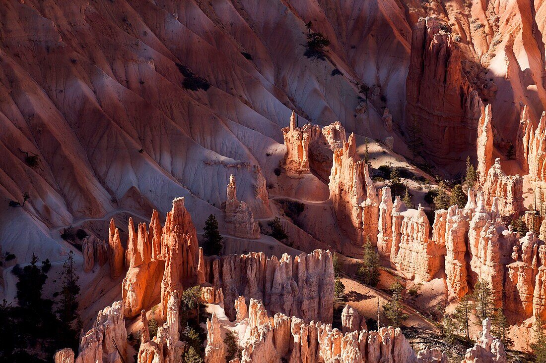 colourful rock formations of Bryce Canyon National Park, United States of America, USA