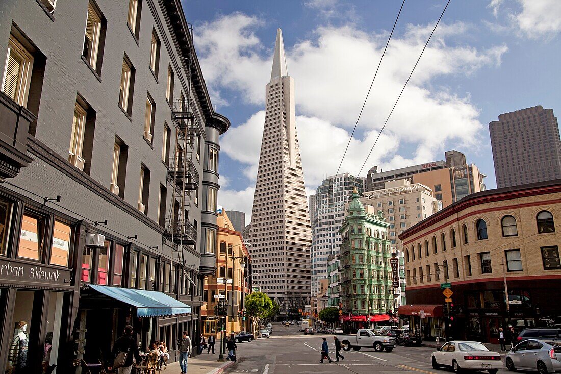 Transamerica Pyramid and Columbus Avenue in San Francisco, California, United States of America, USA