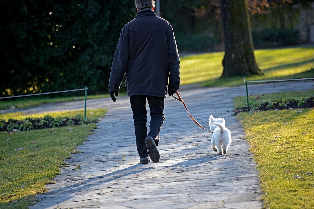 single man walking his small dog in the park, autumn scenery, Geneva, Switzerland