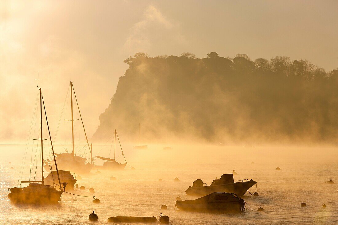 Boats moored on the Teign estuary in Teignmouth, South Devon, England, UK, Europe