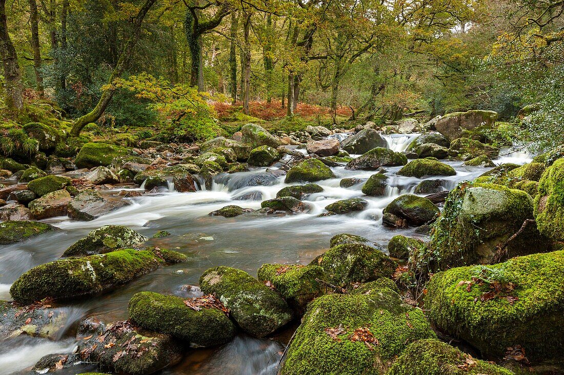 Rocky River Plym near Shaugh Prior in Dartmoor National Park