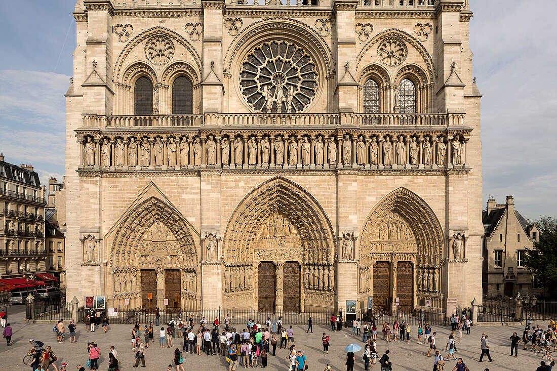 Cathédrale Notre-Dame de Paris, Île de la Cité, Paris, Frankreich, Europa, UNESCO Welterbe (Seineufer zwischen Pont de Sully und Pont d'Iéna)