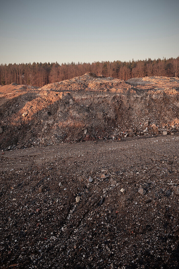 Steiniger Boden und kahler Wald in Sandgrube, Aalen, Ostalb, Baden-Württemberg, Deutschland