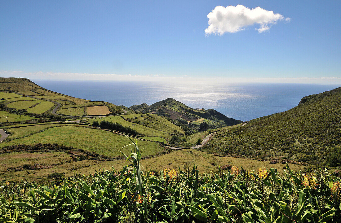 Coastal landscape near Lajedo, Southwest coast, Island of Flores, Azores, Portugal
